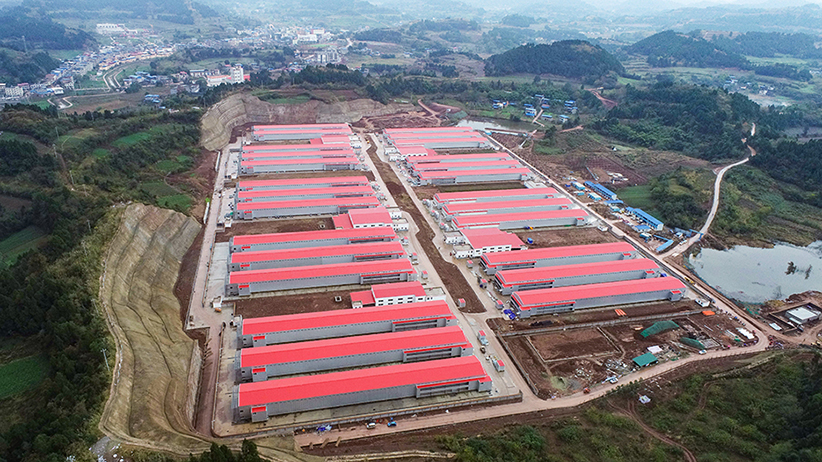 【轉(zhuǎn)型發(fā)展工作動(dòng)態(tài)之一】黨建引領(lǐng)服務(wù)鄉(xiāng)村振興